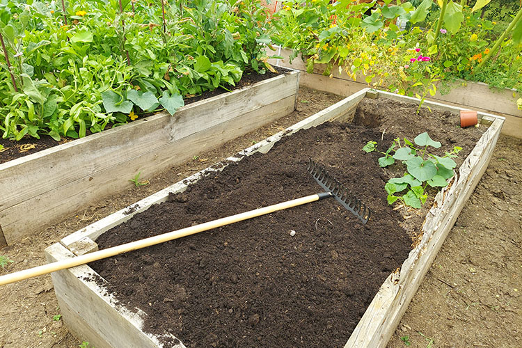 A raised garden bed with a rake laying on top of it.